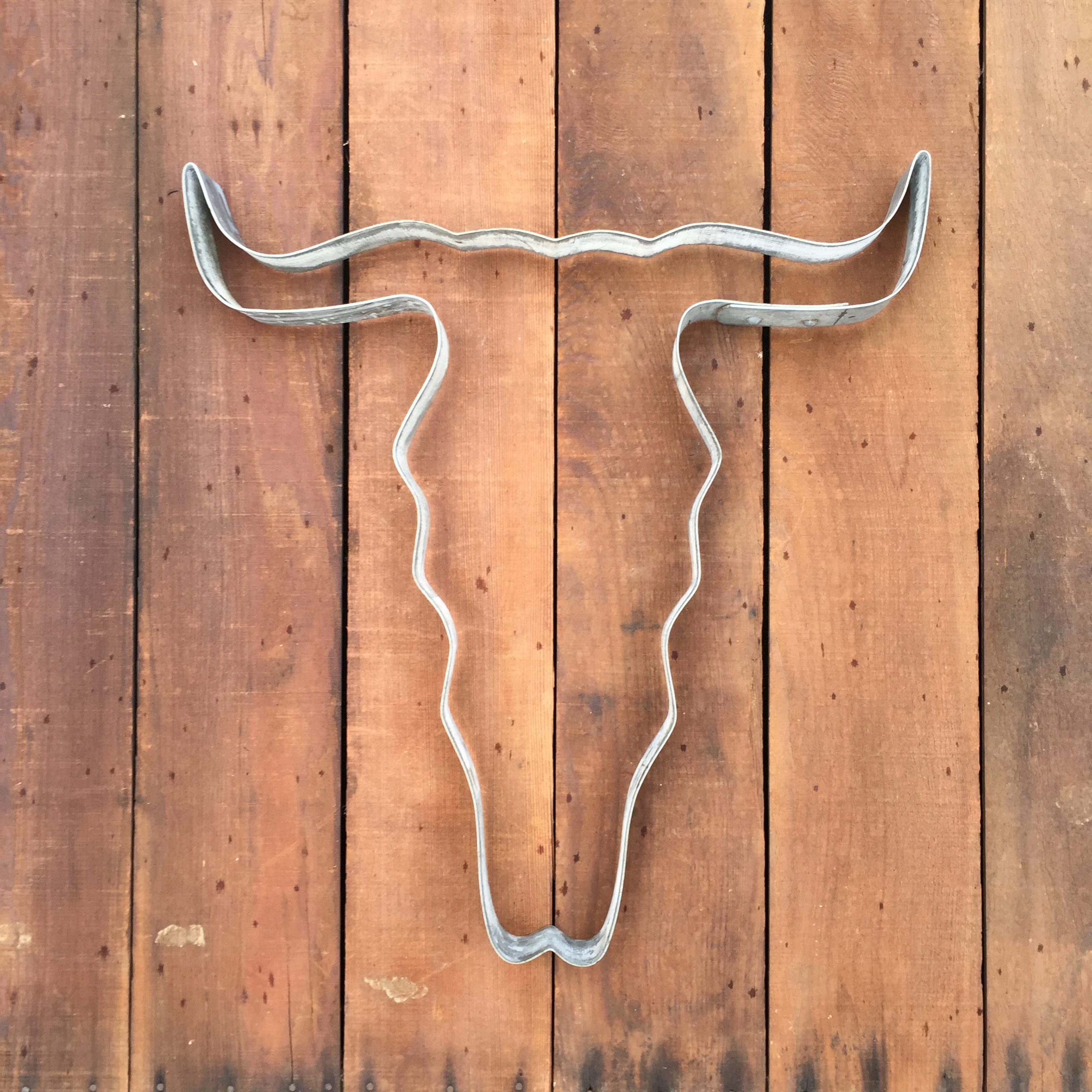 Bull Skull