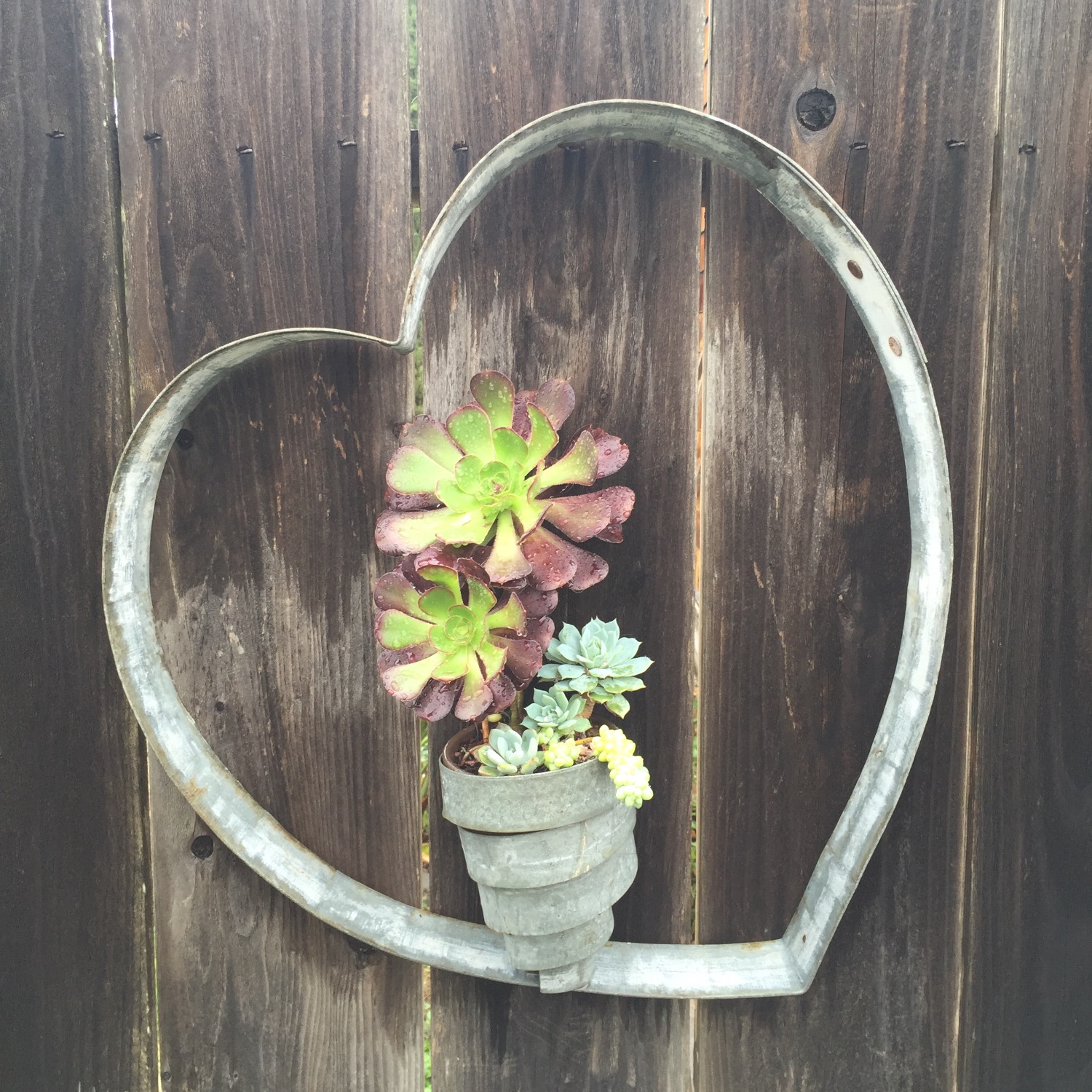 Heart with Swirl