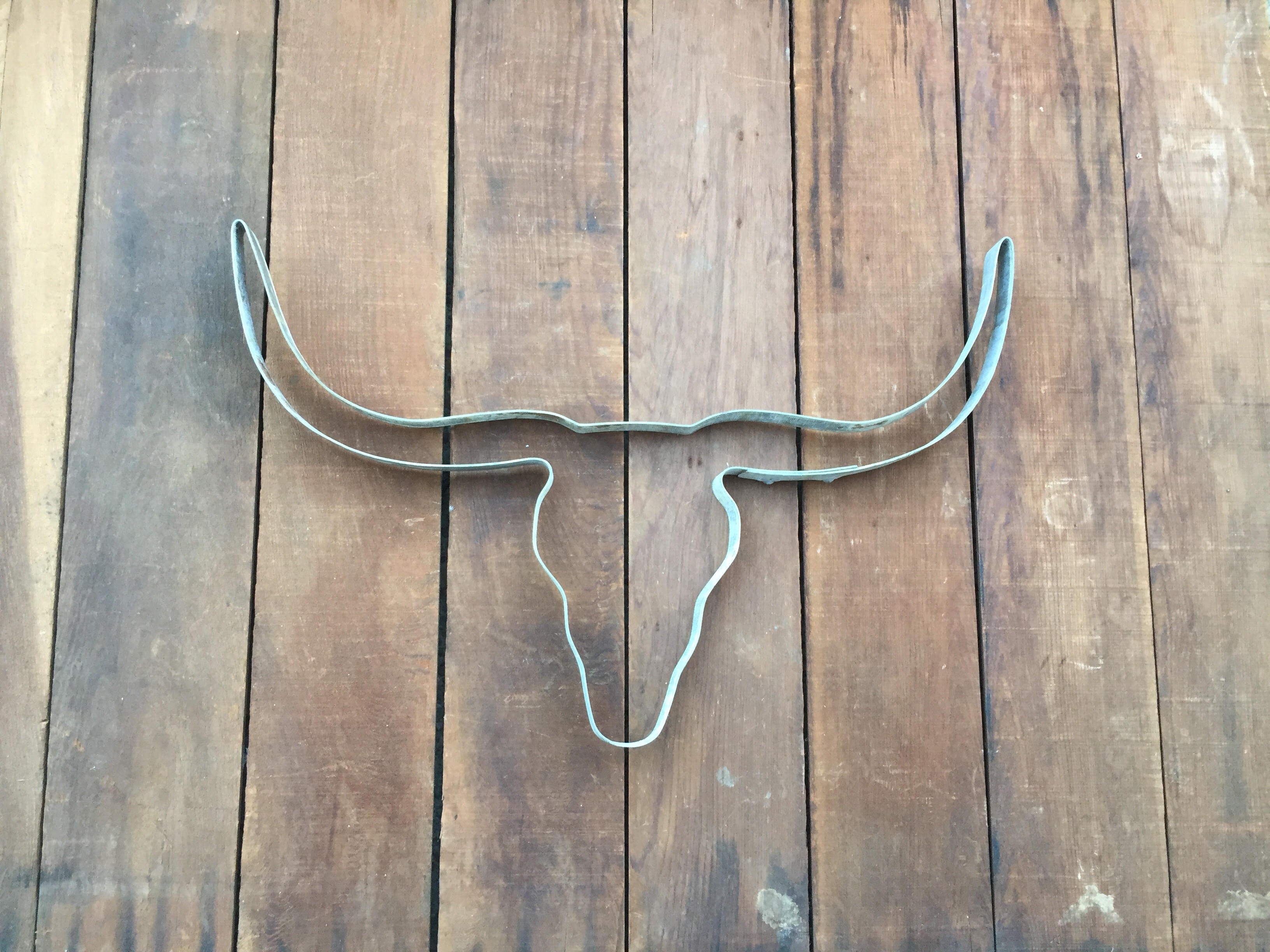 Bull Skull