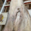 Thumbnail: Sycamore Slab SY29P