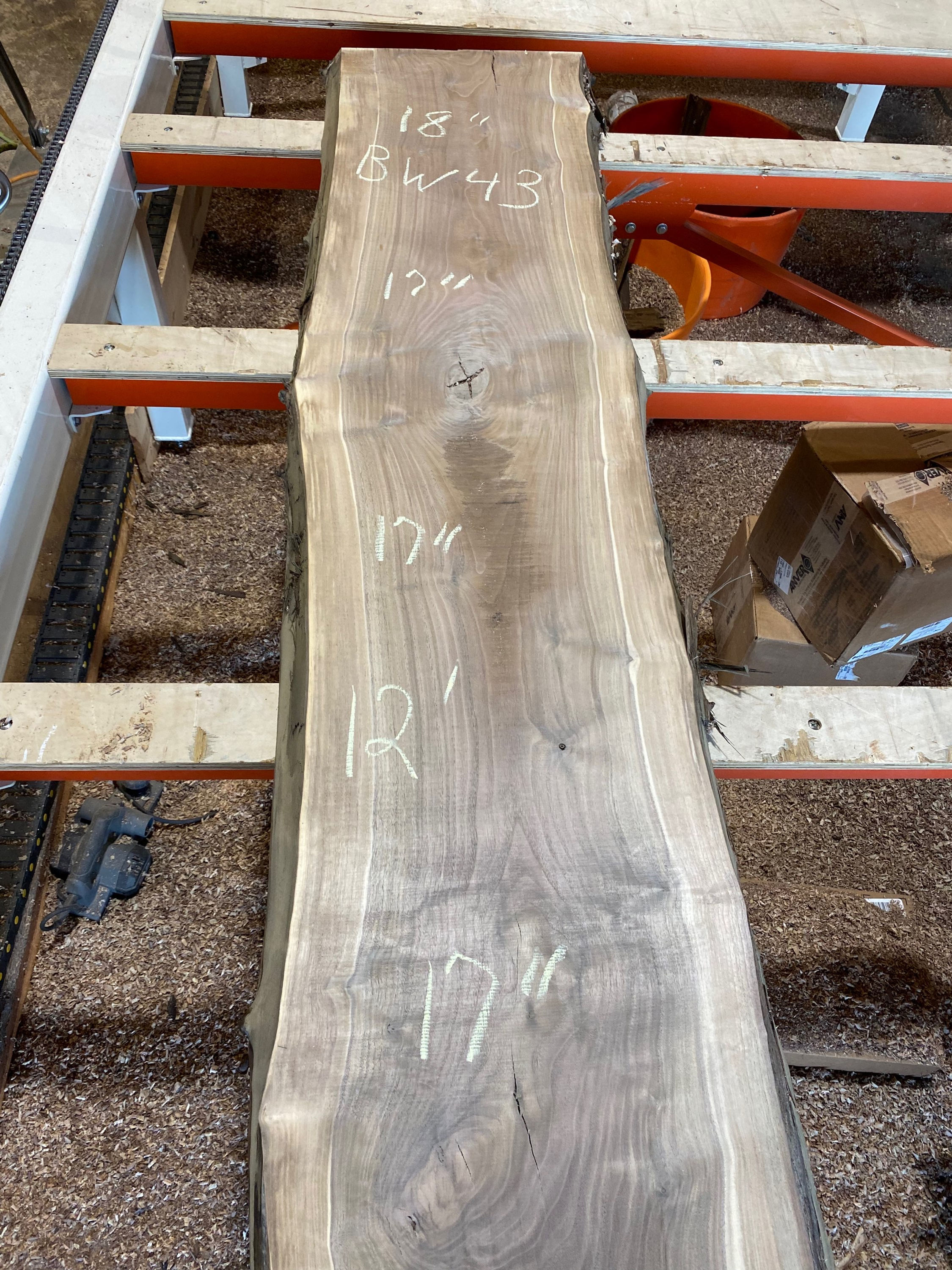 Black Walnut BW43P