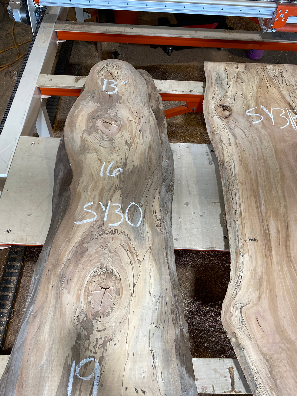 Thumbnail: Sycamore Slab SY30P