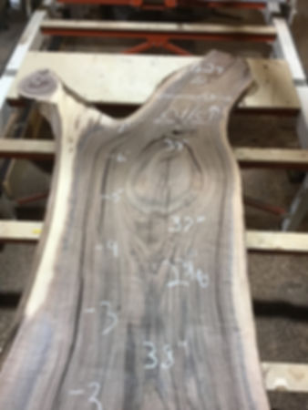 Black Walnut BW24P