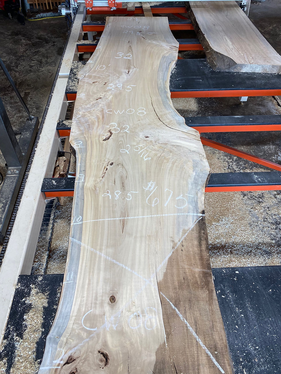 Thumbnail: COTTONWOOD LIVE EDGE SLAB CW08P