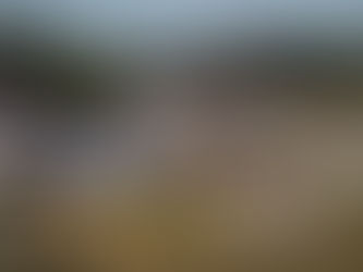 Spectators in the Esses at Road Atlanta