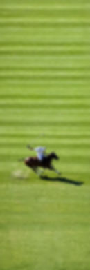 ChatGPT Image 2 ago 2026, 17_52_53_edited.jpg