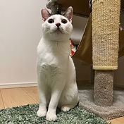 IMG_6156 2_edited.jpg