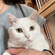 IMG_6156 2_edited.jpg