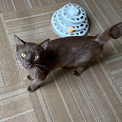 IMG_6156 2_edited.jpg