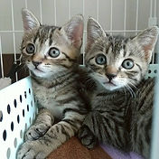 IMG_6156 2_edited.jpg