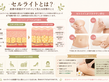 🌿セルライトはなぜできる?放置するとどうなる?🌿
