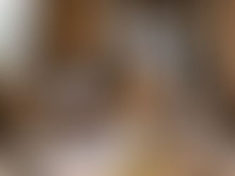 Unsere Projekte für die Zukunft im Katzenstüberl