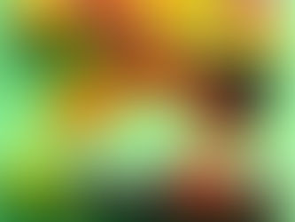 Vitamins, Minerals, Antioxidants, and Phytonutrients.