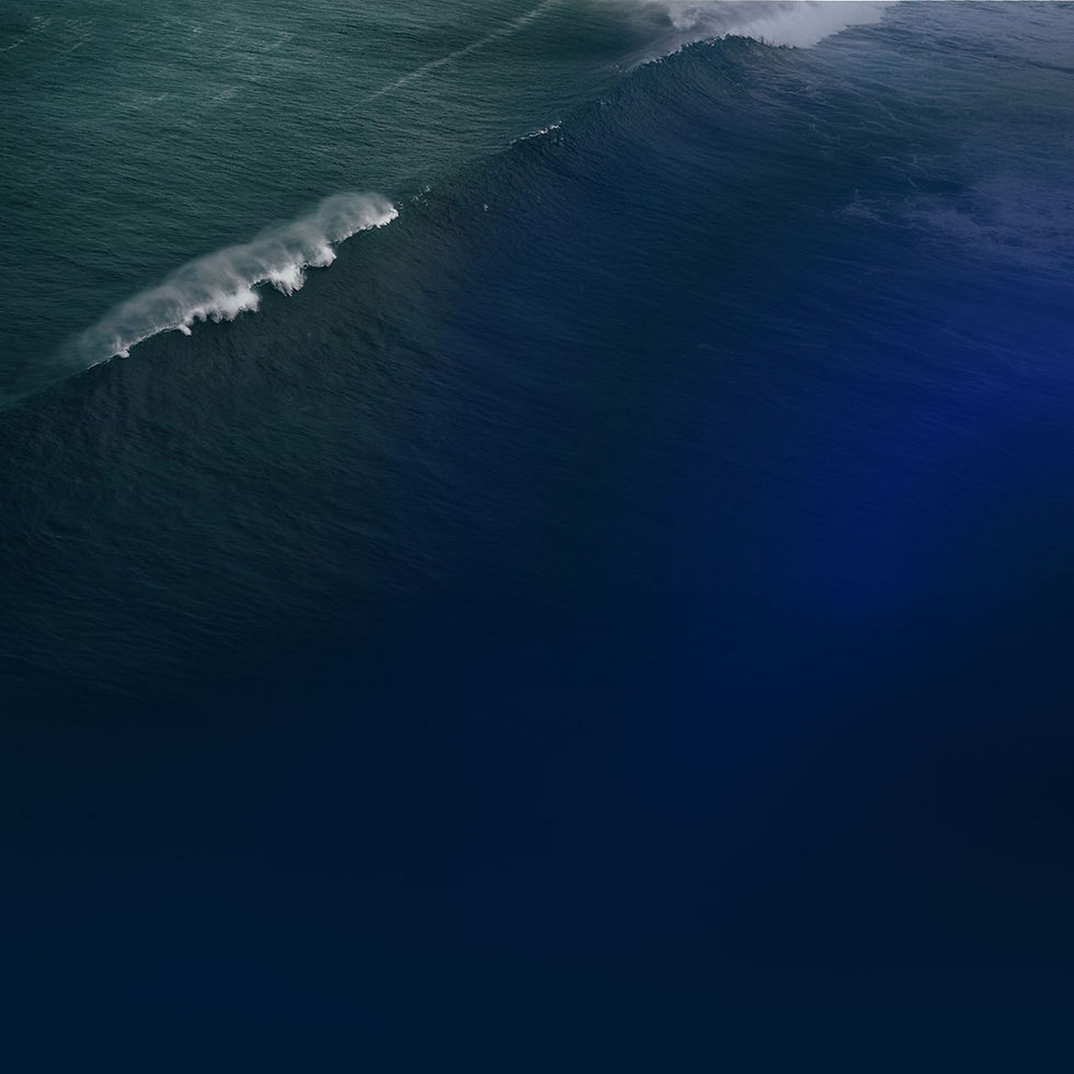 bg_wave1_verlauf.jpg