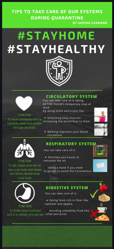 Infographic