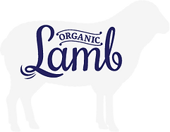 Lamb