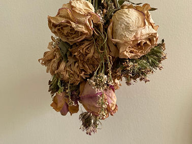dried flowers