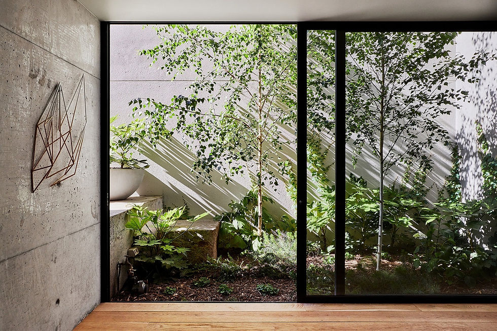 Biophilic-Design-Banner_edited.jpg