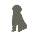 Labradoodle_silhouettes4.png