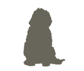 Labradoodle_silhouettes6.png