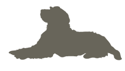 Labradoodle_silhouettes7.png
