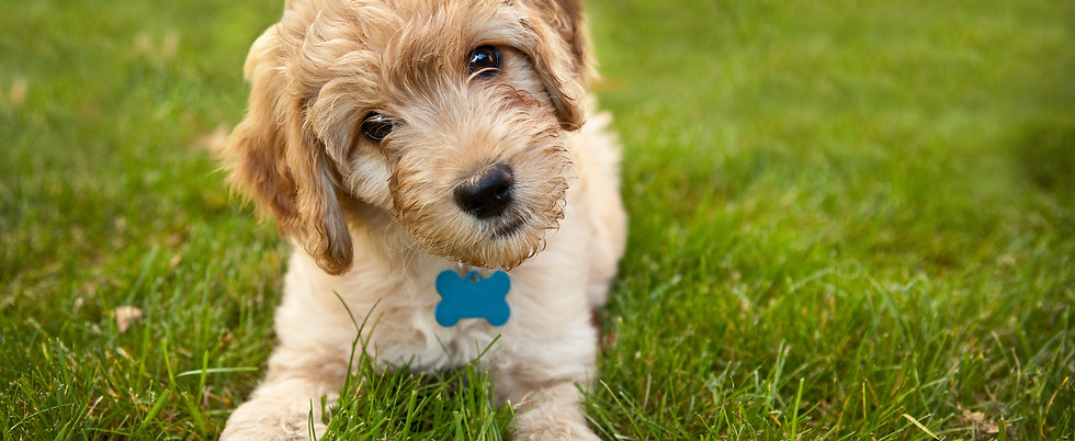 iStock_000021725477_Double.jpg
