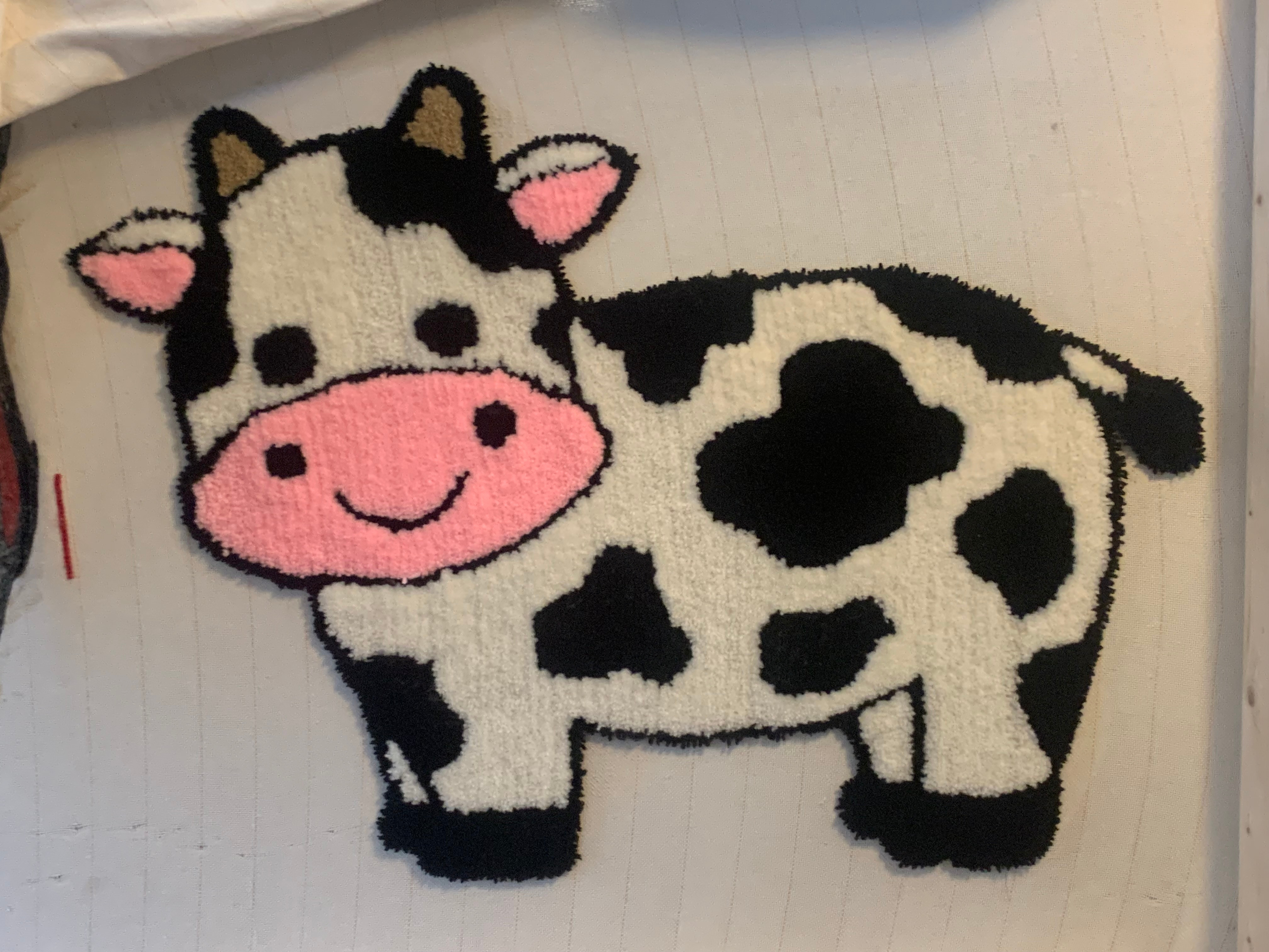 Custom Rugs