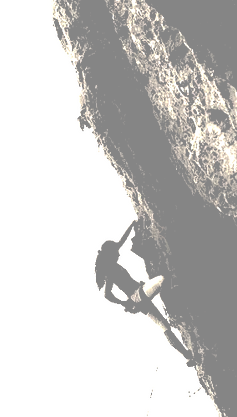 סלעית אקסטרים דרופ