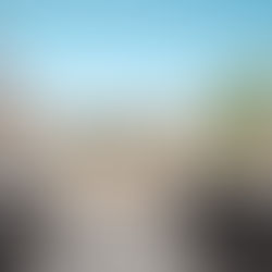 Where to Stay in Lisbon: 5 Top Picks for a 2026 City Break