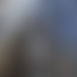 The 5 Best Vienna Hotels for a Perfect 2026 City Break