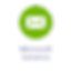 Microsoft Services
