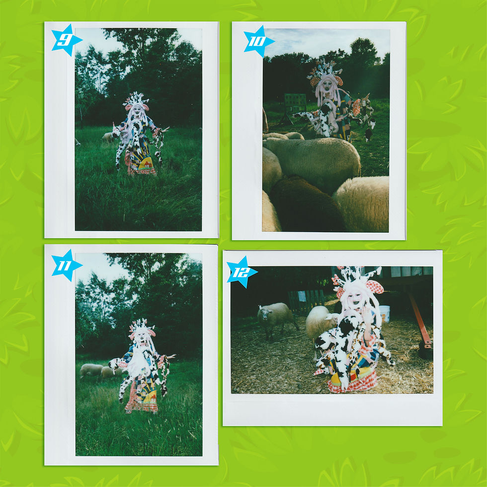 Thumbnail: Moo Myself and I Polaroids