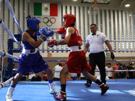 TITANES DEL CLUB ALPHA LOGRAN DOS PLATAS Y UN BRONCE EN FESTIVAL OLÍMPICO DE BOXEO