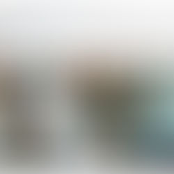 SERGIO OMAR GASTÉLUM DEJA DE SER MÁNAGER DE PERICOS DE PUEBLA.