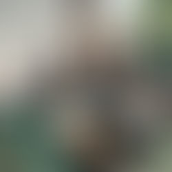 META BUSCA RECLUTAR A ESTUDIANTES DE LA BUAP.