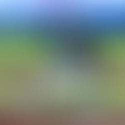 PAR DE BAMBINAZOS DE ERVIN, DAN TRIUNFO A PERICOS