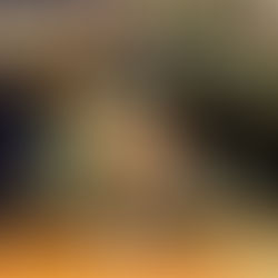 LOBOS PLATEADOS LUCHA ANTE SOLES DE MEXICALI PERO CAE EN SU ÚLTIMO JUEGO EN CASA.