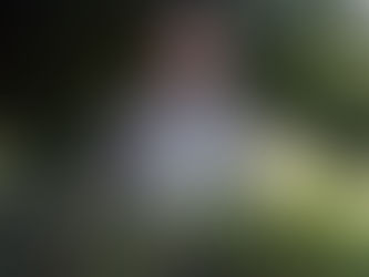 TRABAJA BUAP PARA LA CONVERSACIÓN DE ENCINOS EN MÉXICO Y AMÉRICA CENTRAL