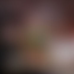 INVITA GOBIERNO DE PUEBLA A CAPITALINOS A DISFRUTAR DEL CHILE EN NOGADA.