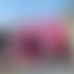 IMD PRESENTA LA PLAYERA Y MEDALLA OFICIAL DE LA SEGUNDA CARRERA MUJERES IMPARABLES