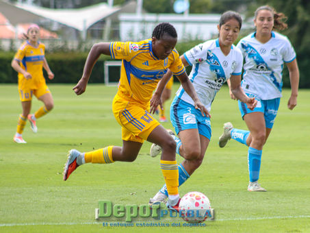 AMAZONAS TERMINAR POR HACER VALER SU POSICIÓN EN LA TABLA Y VENCEN A LAS ENFRANJADAS