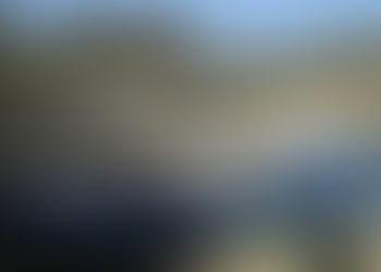 GOBIERNO DE LA CIUDAD INVITA A VISITAR PARQUES DE LA CAPITAL DURANTE TEMPORADA DECEMBRINA