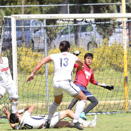TIGRES BLANCOS UMAD: FORJANDO EL ÉXITO A TRAVÉS DEL TRABAJO EN CONJUNTO.