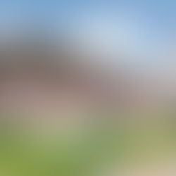 AZTECAS UDLAP LISTOS PARA RECUPERAR SU GRANDEZA EN ONEFA