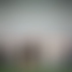 IMPULSA PEPE CHEDRAUI APERTURA DE ESPACIOS DE REFLEXIÓN CON EL FORO "VOCES DE MUJERES: EMPODERAMIENTO Y CAMBIO"