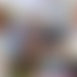 ACERCA GOBIERNO ESTATAL MOLE POBLANO A MIGRANTES QUE VIVEN EN LOS ÁNGELES.