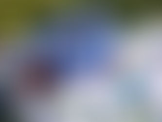 BORREGOS PUEBLA SE INSTALA EN LAS SEMIFINALES DE ONEFA TRAS VENCER A GUADALAJARA.