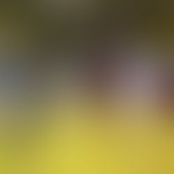 TRIUNFO SÓLIDO DE UPAEP EN MEXICALI, LAS ÁGUILAS DOMINARON DE PRINCIPIO A FIN Y SUMARON UNA VALIOSA VICTORIA COMO VISITANTES