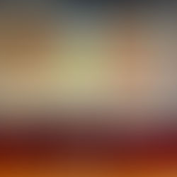 REALIZA GOBIERNO ESTATAL CONVERSATORIO DEL CHILE EN NOGADA EN CIUDAD DE MÉXICO.