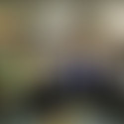 TOMA PROTESTA GOBIERNO ESTATAL A INTEGRANTES DE COMITÉS CIUDADANOS DE PUEBLOS MÁGICOS.